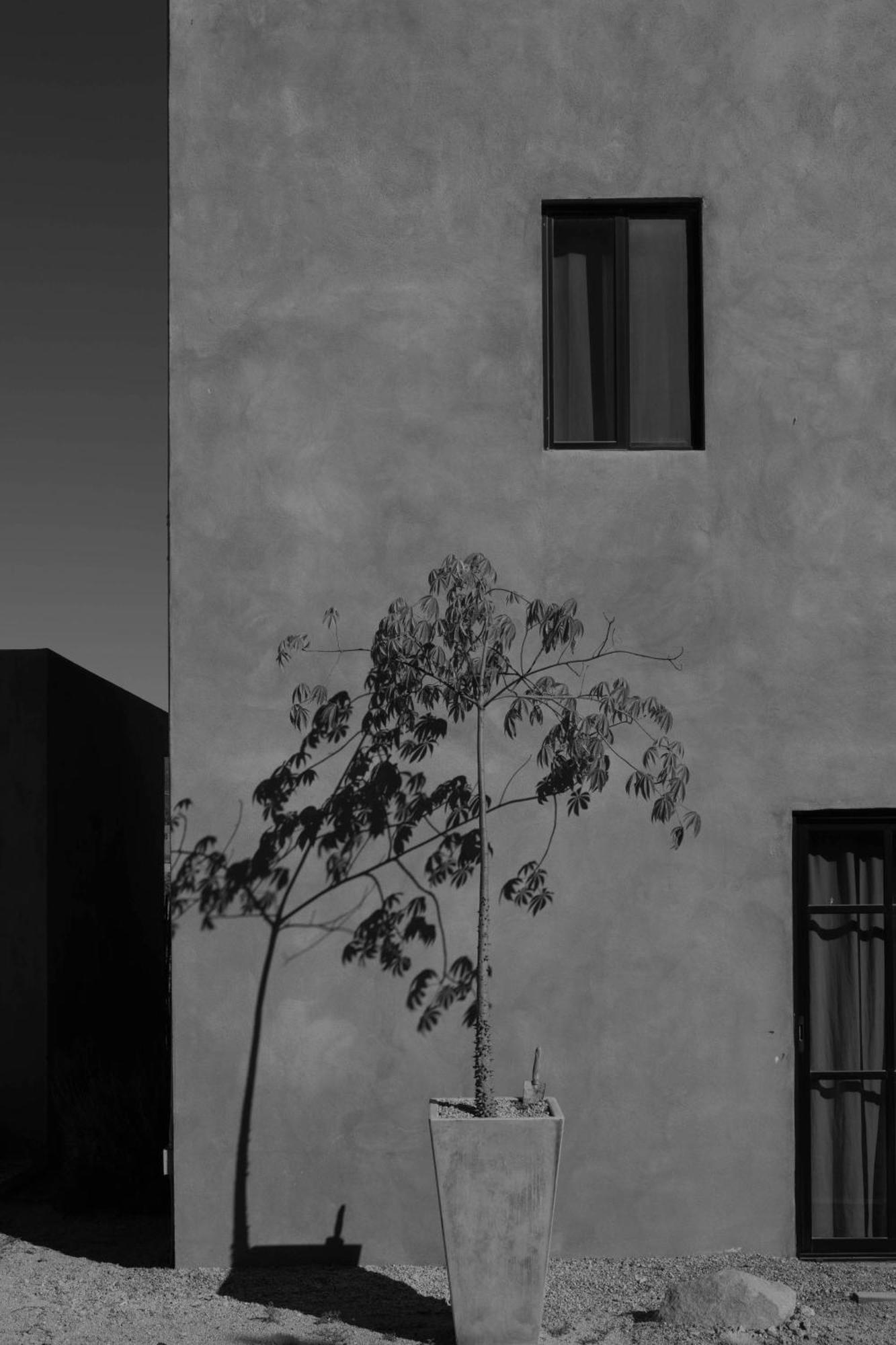 Casa Michaus 瓜达鲁佩镇 外观 照片